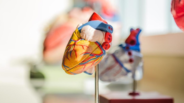 1762709114438-ilustrasi-sakit-jantung-koroner_169