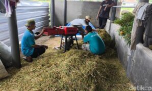 1762946994809-odgj-dilatih-berdaya-di-kuningan-1762925477560_169