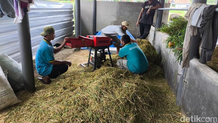 1762946994809-odgj-dilatih-berdaya-di-kuningan-1762925477560_169