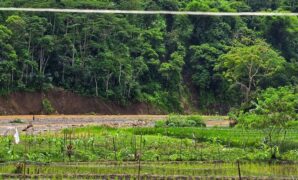 1762947043614-arus-sungai-cidadap-gerus-sawah-warga-1762930606467_169