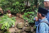 1763033511662-bunga-bangkai-yang-tumbuh-di-kecamatan-talun-kabupaten-cirebon-1763018124526_169