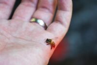 1763270892132-b2a644a6-9bfb-4099-be4e-8099adb8aca0_169