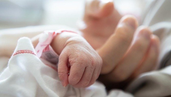 1763335127399-ilustrasi-bayi-prematur_169