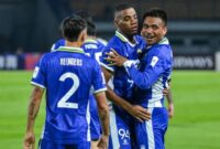 1763357611246-persib-bandung-1761018999961_169