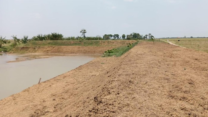 1763400358041-pemkab-indramayu-bangun-embung-di-desa-sumbermulya-kecamatan-haurgeulis-1763356255513_169