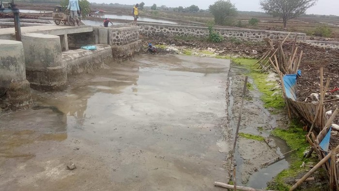 1763400443752-bendung-bendo-di-desa-parean-girang-indramayu-1763356615341_169