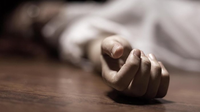 1763463940289-7ff9ba66-19aa-406d-afc7-3a151bdb1158_169