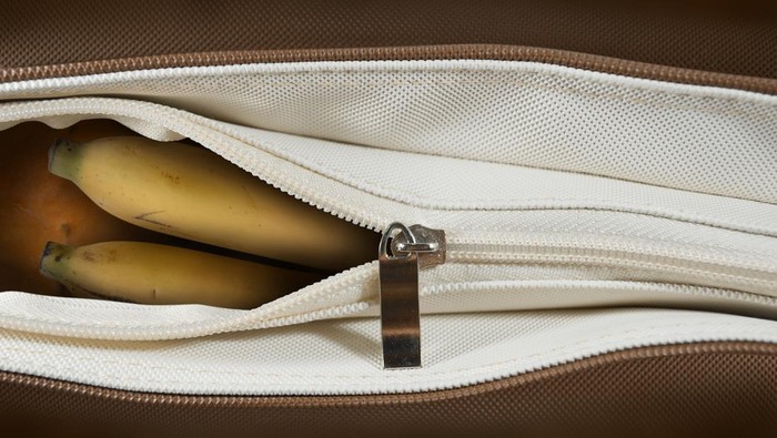 1763485520324-179047704_169