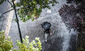 1763507071825-ilustrasi-hujan-1762235553812_169