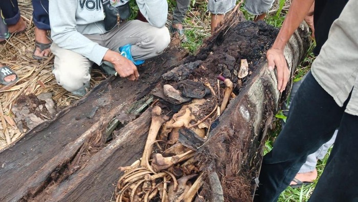 1763550320991-kerangka-manusia-ditemukan-di-pohon-1757514425480_169