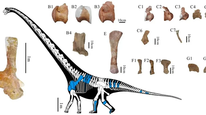 1763571907686-dinosaurus-berukuran-29-meter-di-china-1763364750199_169
