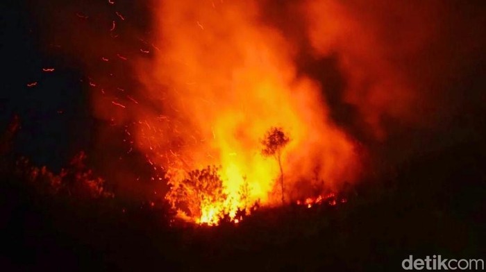 1763571915483-ilustrasi-kebakaran-lahan-pada-malam-hari-1745461127902_169