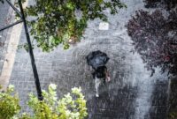 1763593471536-ilustrasi-hujan-1762235553812_169