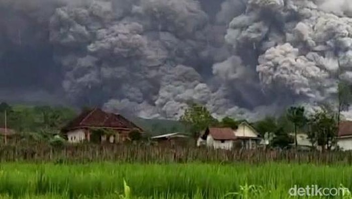 1763615141923-gunung-semeru-luncurkan-awan-panas-55-km-1763547883753_169