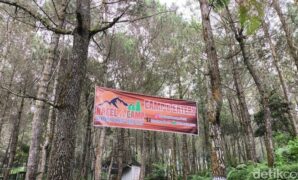 1763917492377-wisata-alam-tenjo-laut-kuningan-1763864573718_169