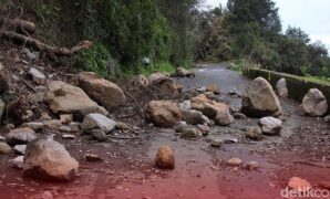 1763982312832-c668919c-a1e7-4f89-a06c-d9627861d5a3_169