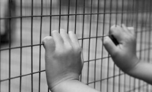 1764003888243-c3f1bf40-9e8a-4f47-bfdb-4351fb6569e8_169