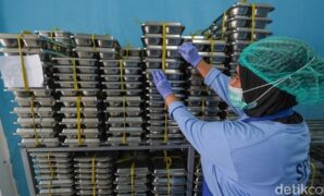 1764003899290-ilustrasi-makan-siang-gratis-1759218011364_169