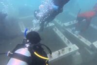 1764025474109-transplantasi-terumbu-karang-di-pantai-batukaras-1763978469915_169