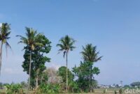 1764025478271-ilustrasi-langit-di-wilayah-kota-batu-yang-tidak-ditumbuhi-awan_169