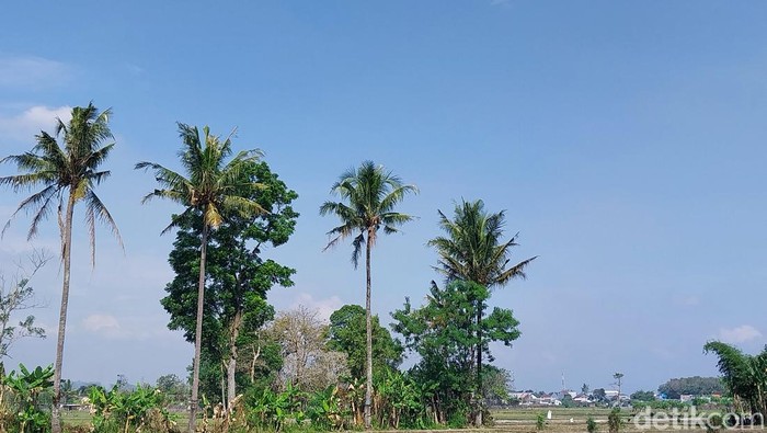 1764025478271-ilustrasi-langit-di-wilayah-kota-batu-yang-tidak-ditumbuhi-awan_169