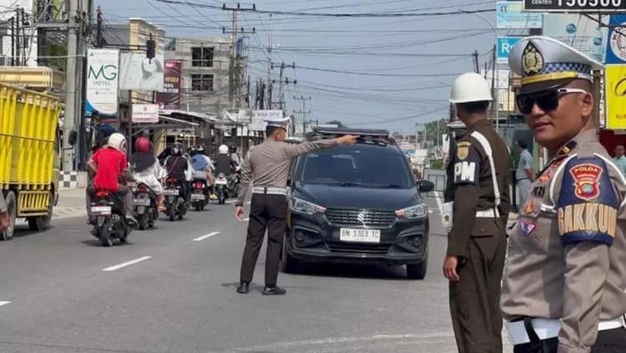 1764068722146-operazi-zebra-1763213290888_169