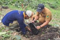 1764111875996-penanaman-tanaman-langka-gunung-ciremai-di-kuningan-1764060502121_169