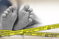 1764133521460-ad74c05f-f503-42fe-812b-0e539c1e0926_169