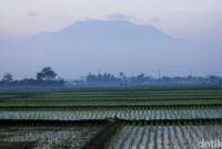 1764198280428-341a8f28-694e-41bb-830f-d9f8ca6ba5d9_169