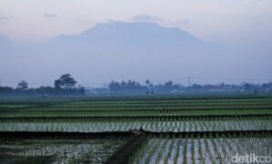 1764198280428-341a8f28-694e-41bb-830f-d9f8ca6ba5d9_169