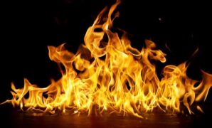 1764219958626-api-1756985712884_169