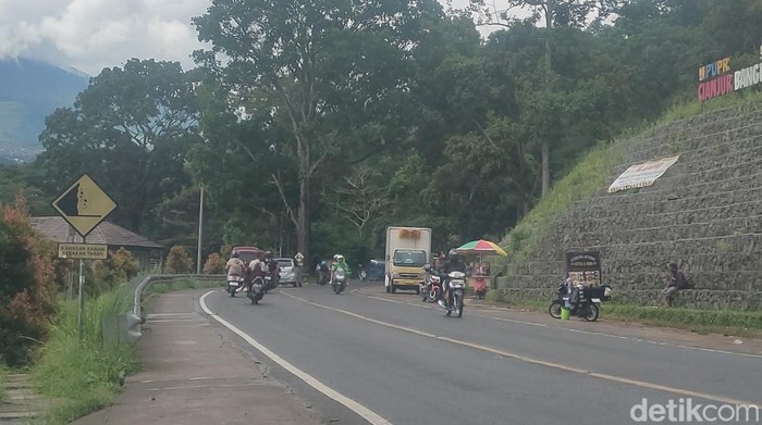 1764306327629-starling-berjualan-di-zona-merah-gempa-di-cianjur-1764226319145_169