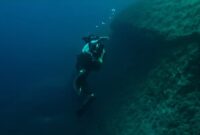 1764349512520-trailer-the-dive_169
