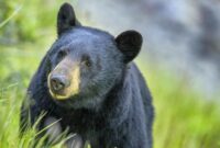 1764414314235-b40ff691-c696-4737-94a4-0e0c8c30dccd_169