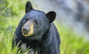 1764414314235-b40ff691-c696-4737-94a4-0e0c8c30dccd_169