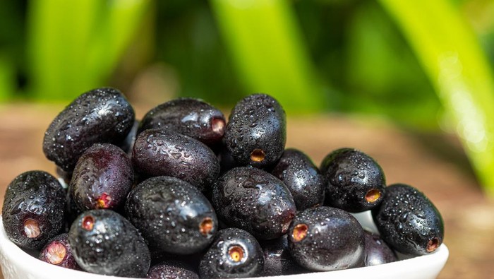 1764500721979-ilustrasi-buah-jamblang_169