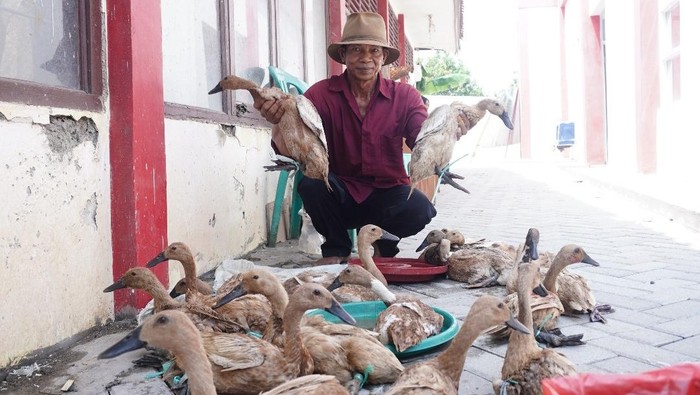 1764500732022-penyaluran-bantuan-antensi-di-indramayu-1764467899190_169