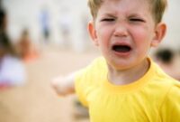 1764522336944-2965091e-5ddd-4c36-8b3d-9db20f5b7a3b_43