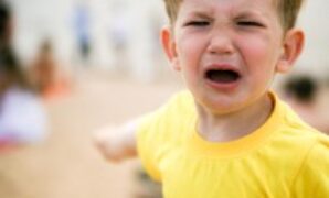 1764522336944-2965091e-5ddd-4c36-8b3d-9db20f5b7a3b_43