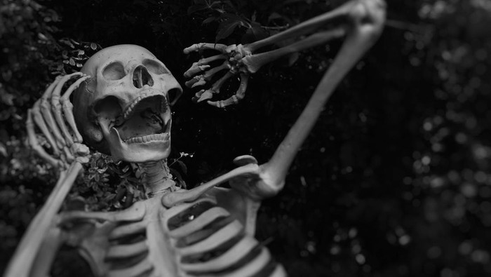 1764522346902-ilustrasi-kerangka-manusia_169