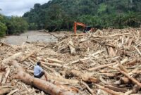 1764565569540-sampah-kayu-gelondongan-banjir-bandang-di-tapanuli-selatan-1764423757060_169