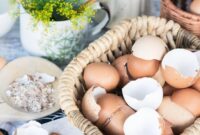 1764565573351-cangkang-telur-1_169