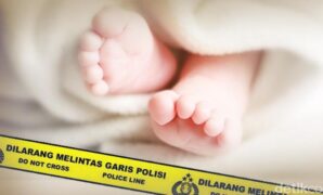 1764759957888-04d6bdb2-2cac-4687-93cd-130c776b3edd_169