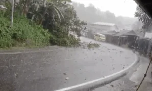 1764932743293-mencekam-tiang-listrik-ambruk-di-loji-sukabumi-warga-lari-lihat-kilatan-api-1764930154594_169