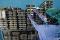 1765019111156-ilustrasi-makan-siang-gratis-1759218011364_169