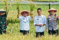 1765019114056-bupati-karawang-aep-syaepuloh-saat-panen-raya-di-karawang-1764999847754_169