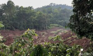 1765019115787-kondisi-bencana-longsor-kampung-condong-desa-wargaluyu-kecamatan-arjasari-1765013252499_169