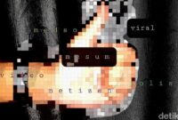 1765019122063-gambar-ilustrasi-soal-video-viral-nan-mesum-danu-damarjatidetikcom_169