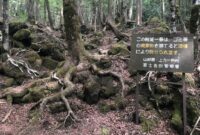 1765040726156-hutan-aokigahara-di-jepang-4_169