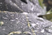 1765062276441-ilustrasi-hujan-1764385551807_169